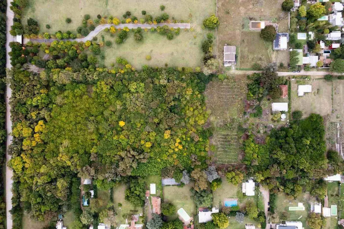 HECTAREAS EN VENTA EN VILLA ELISA 8