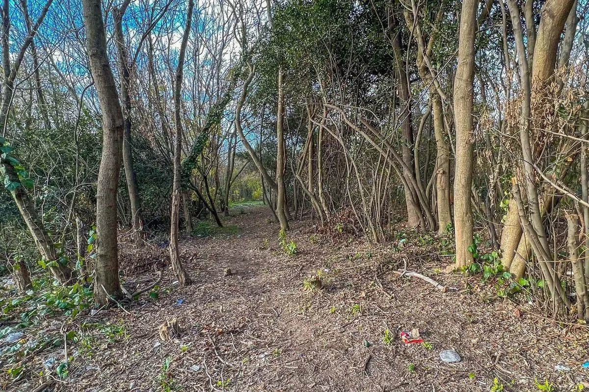 LOTE HECTAREA EN VENTA LA PLATA 5