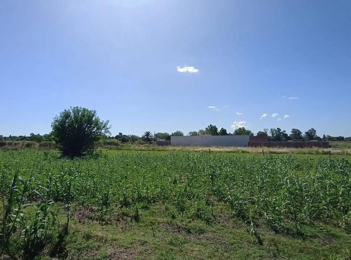 LOTE EN VENTA LA PLATA CON ESCRITURA 6