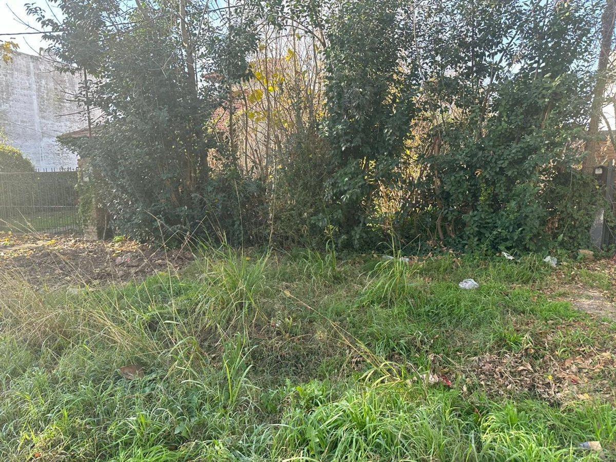 Foto de LOTE VENTA VILLA ELISA, imagen 4