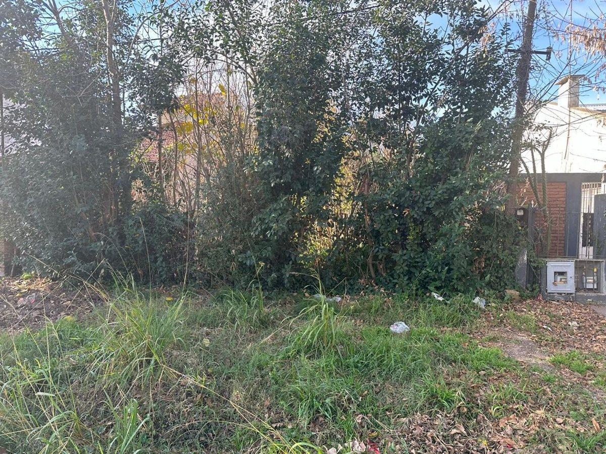 Foto de LOTE VENTA VILLA ELISA, imagen 2
