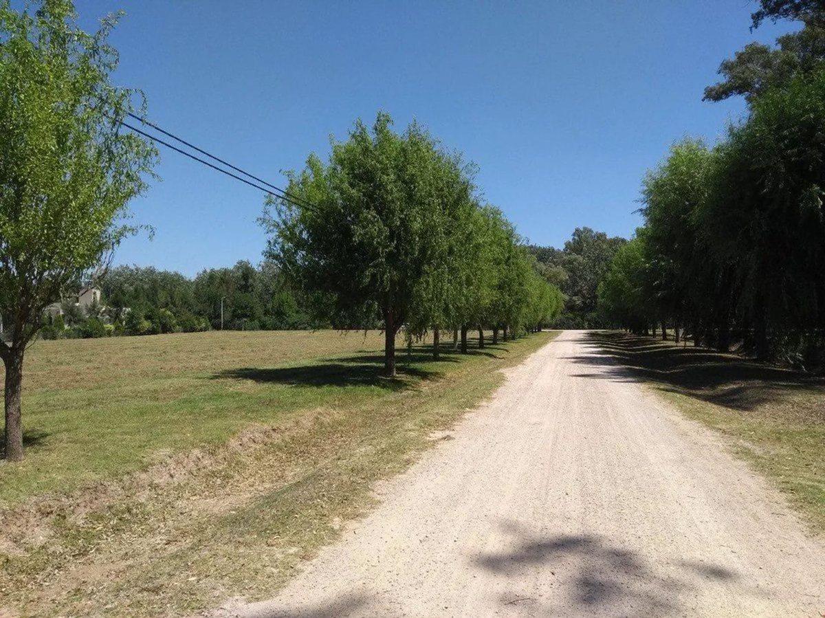 Foto de LOTE EN VENTA CAMPOS DE ROCA II, imagen 4