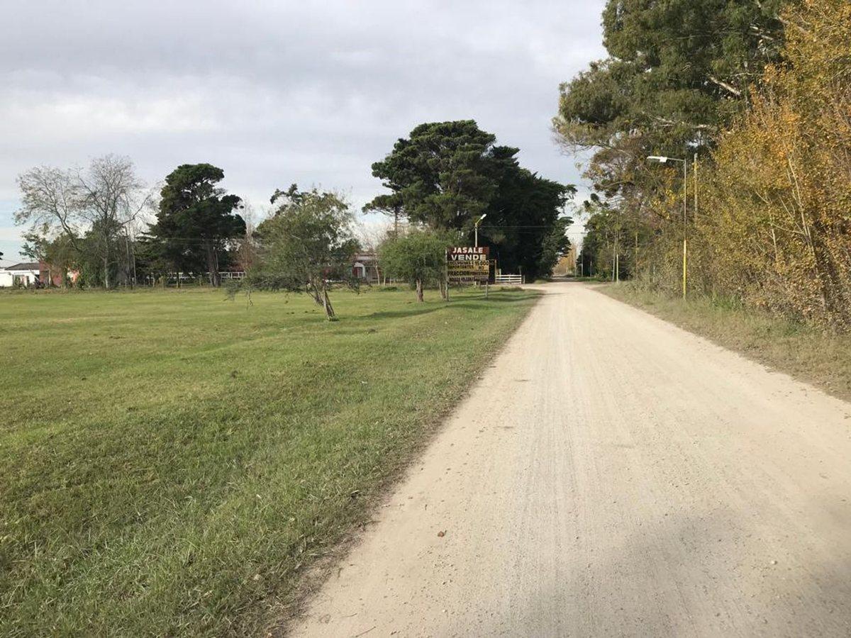 Foto de FRACCION CAMPO EN VENTA MAGDALENA 1,5 HECTAREAS, imagen 3
