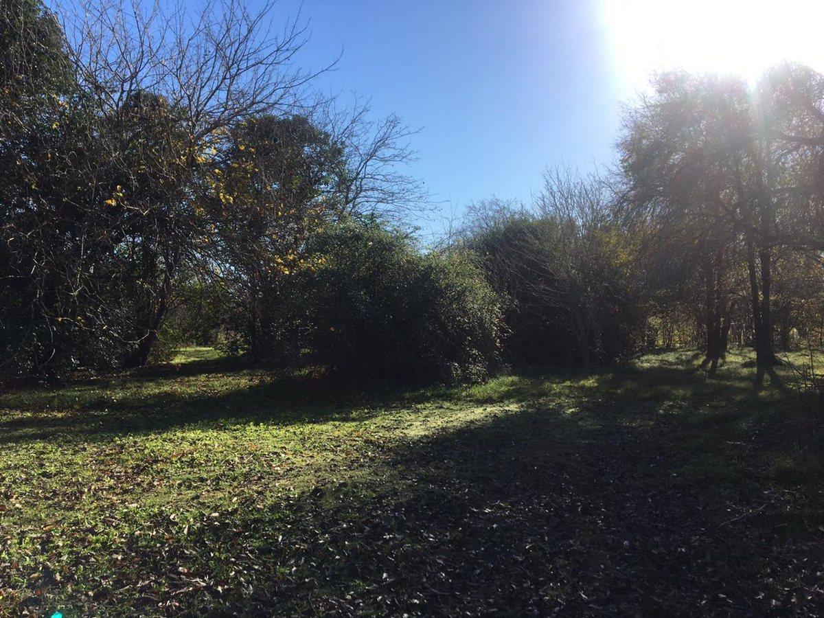 Foto de LOTE TERRENO EN VENTA EN VILLA ELISA ENTRE CAMINOS, imagen 4