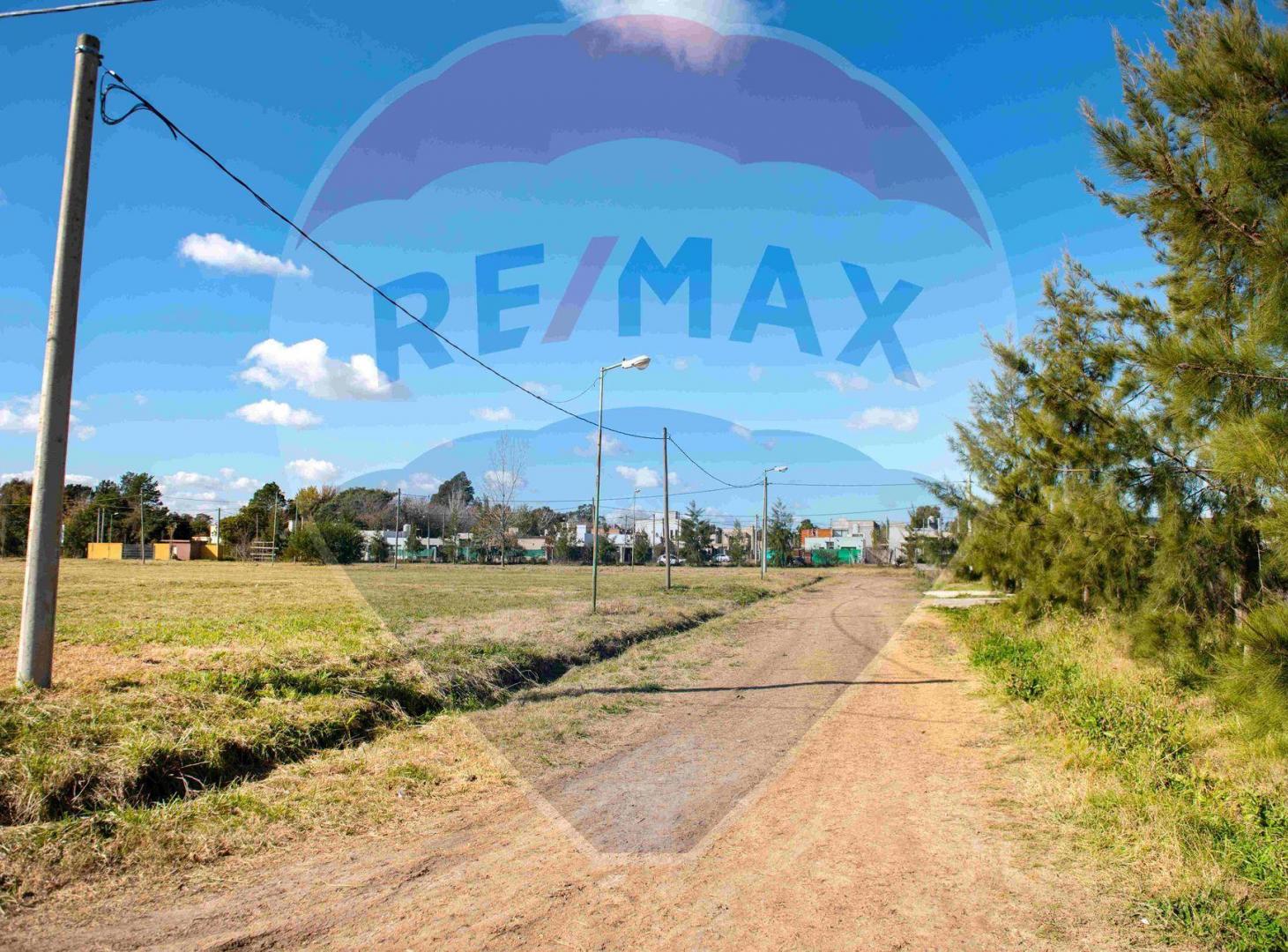 Foto de Lote en venta en Villa Elisa, imagen 4