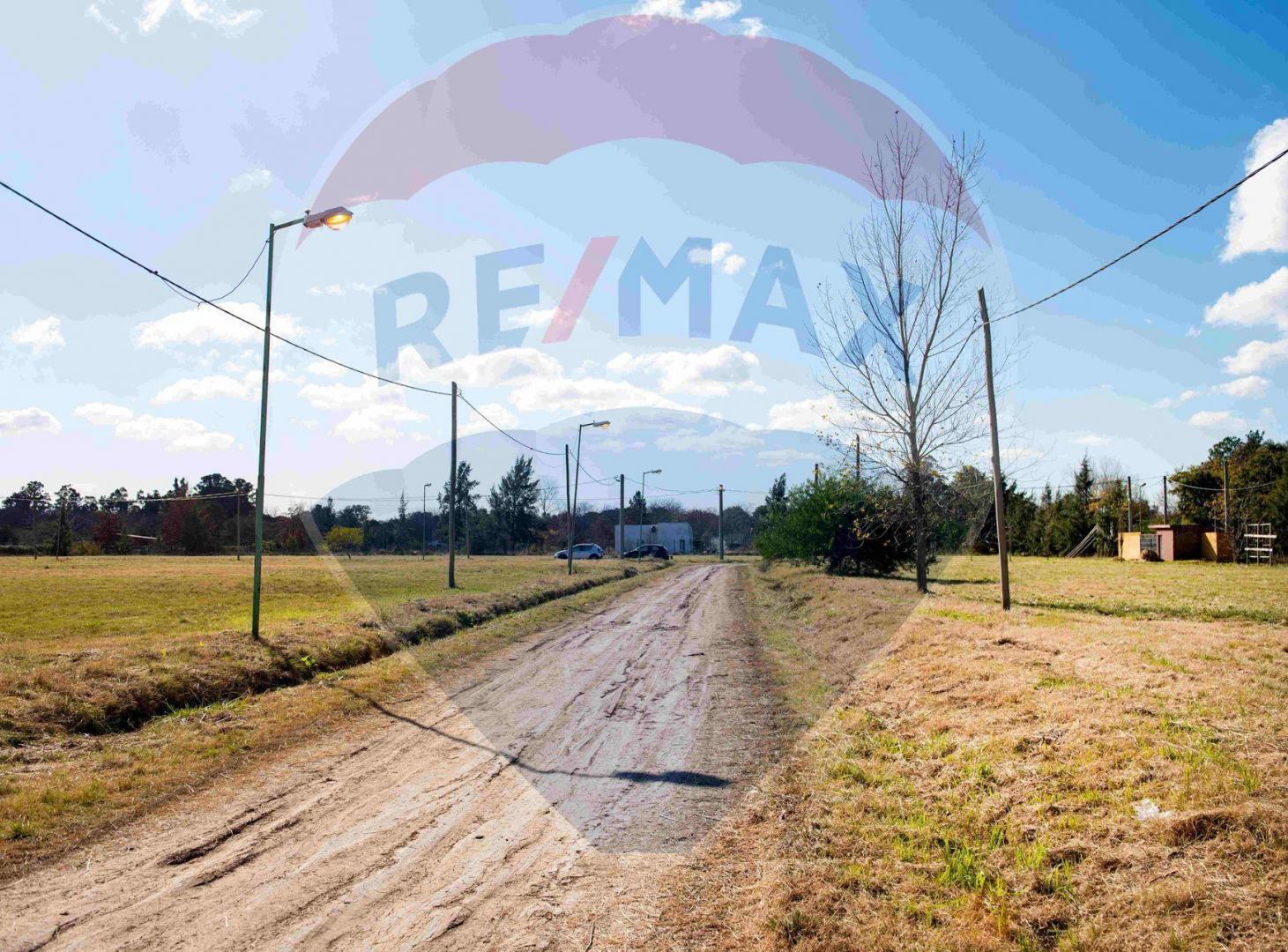 Foto de Lote en venta en Villa Elisa, imagen 5