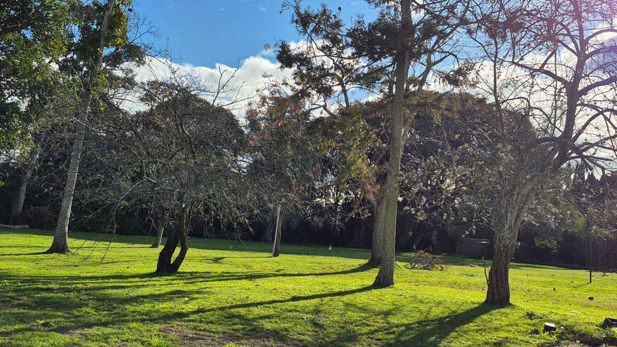 Foto de LOTE EN VENTA BARRIO CERRADO LIHUEN ENTRE CAMINOS, imagen 1