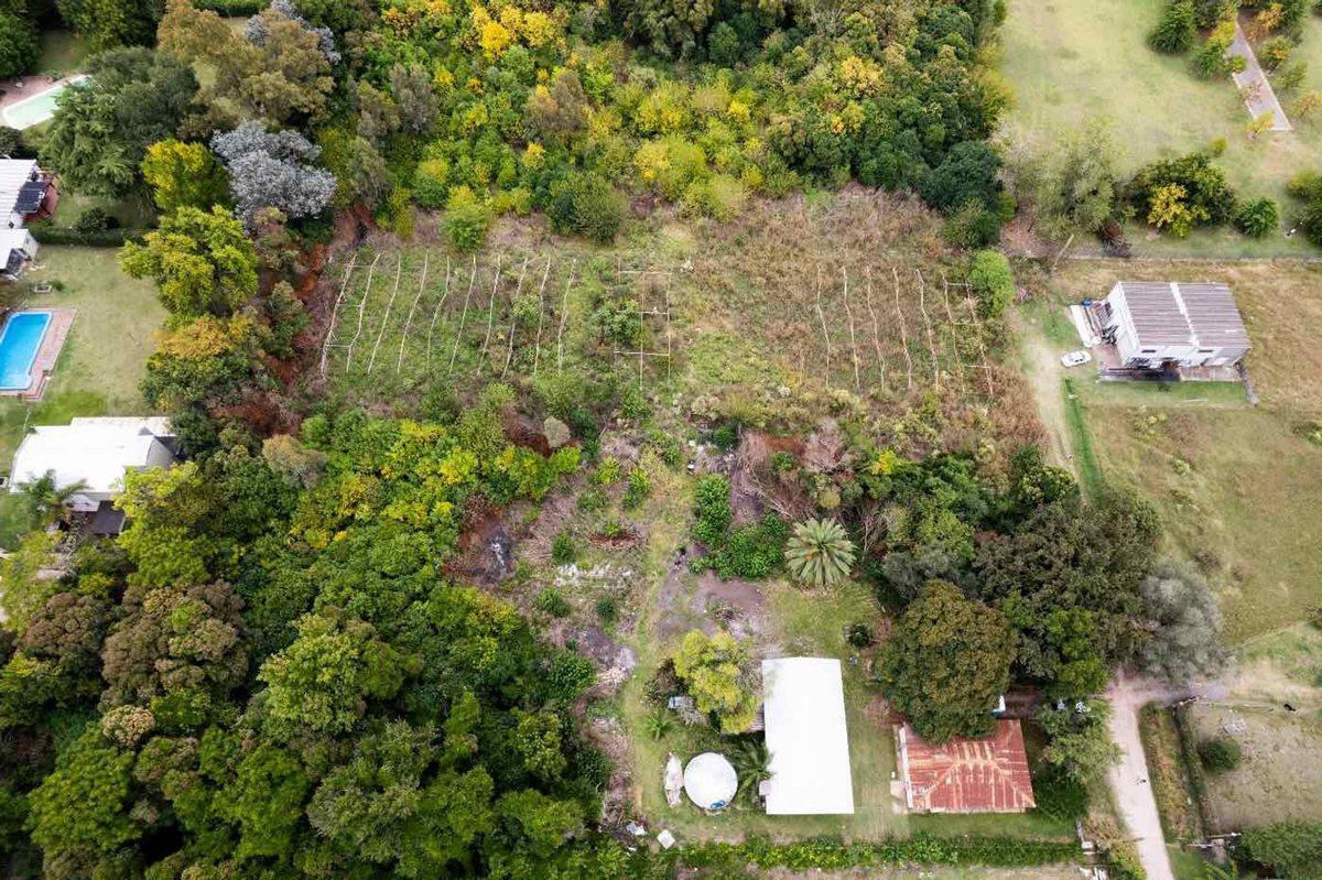 Foto de HECTAREAS EN VENTA EN VILLA ELISA, imagen 4