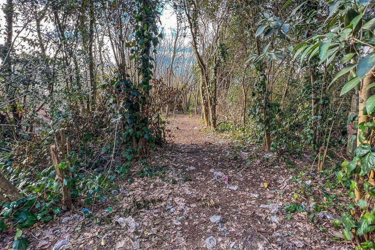 Foto de LOTE HECTAREA EN VENTA LA PLATA, imagen 3