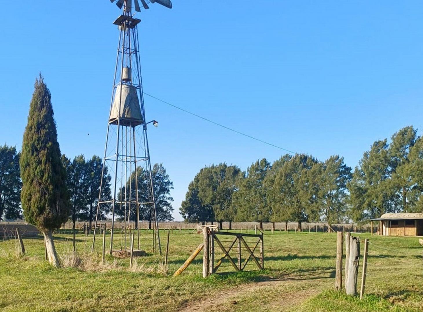 Foto de Campo de 30 Hectáreas en venta sobre Ruta 36, imagen 3