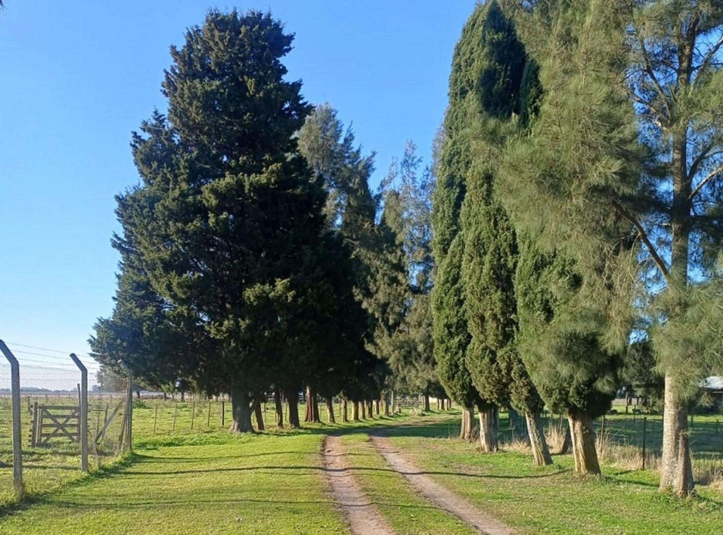 Foto de Campo de 30 Hectáreas en venta sobre Ruta 36, imagen 2