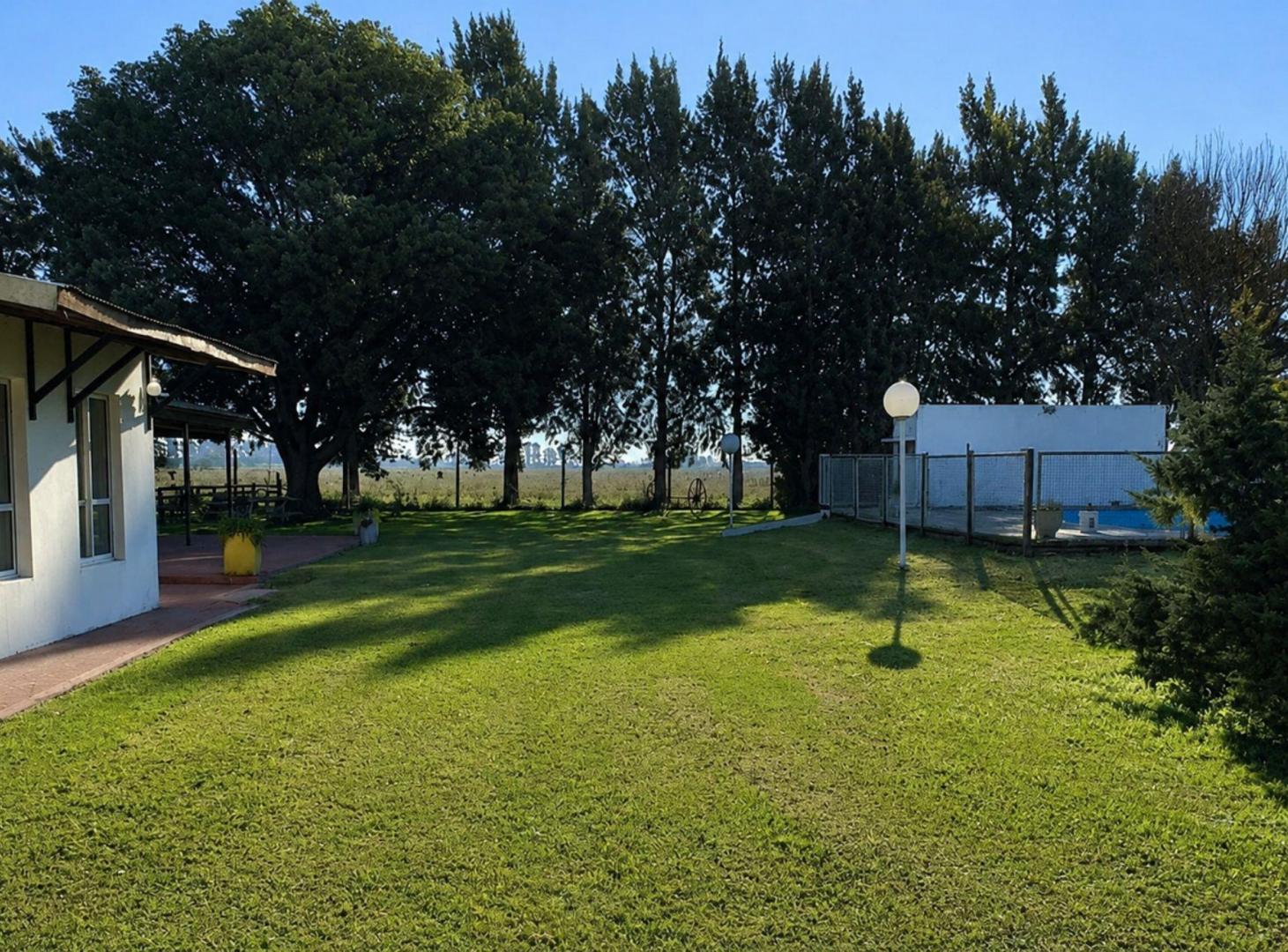 Foto de Campo de 30 Hectáreas en venta sobre Ruta 36, imagen 5