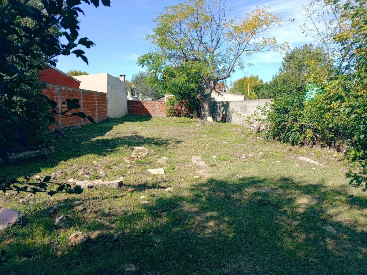 Foto de LOTE EN VENTA VILLA ELISA, imagen 4