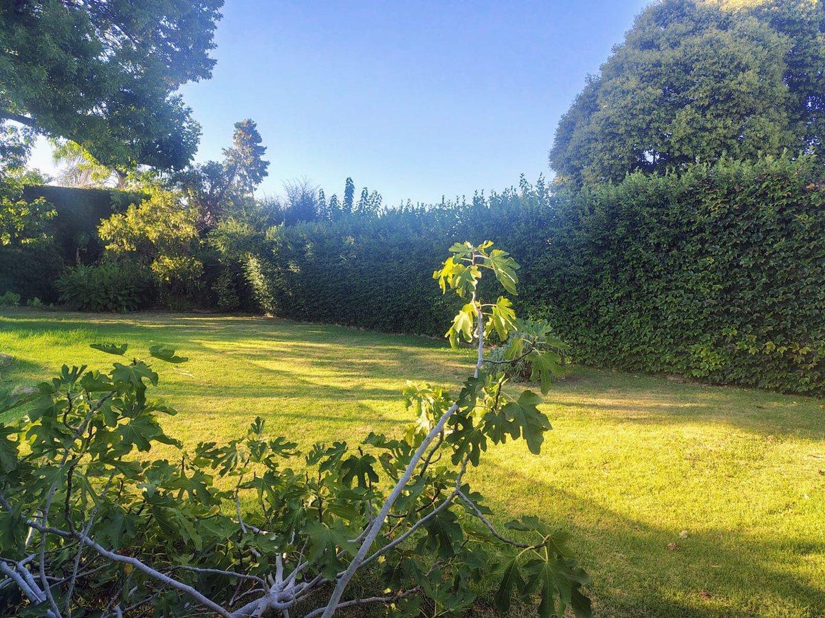 Foto de Lote en Venta La Plata Ideal Desarrollador, imagen 1