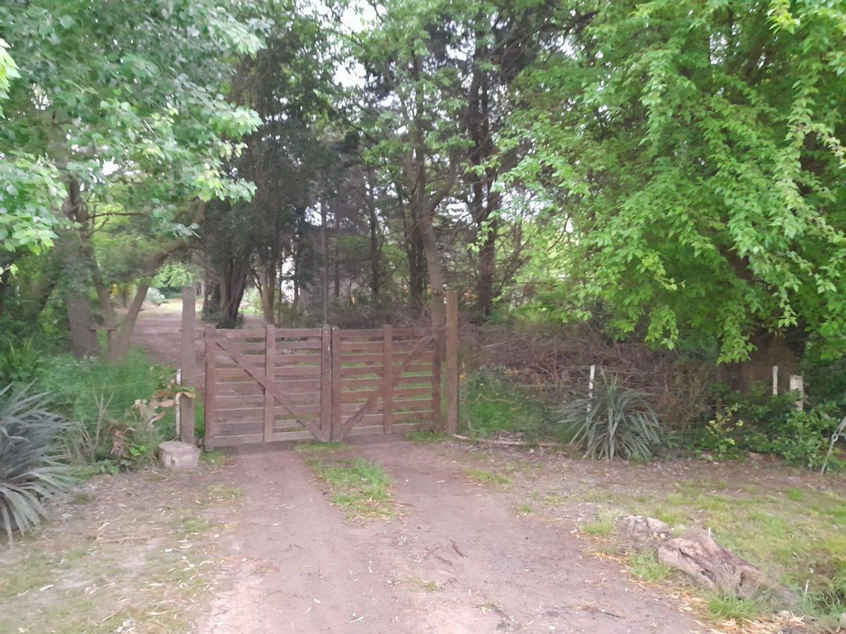 Foto de LOTE EN VENTA EN SICARDI, imagen 2