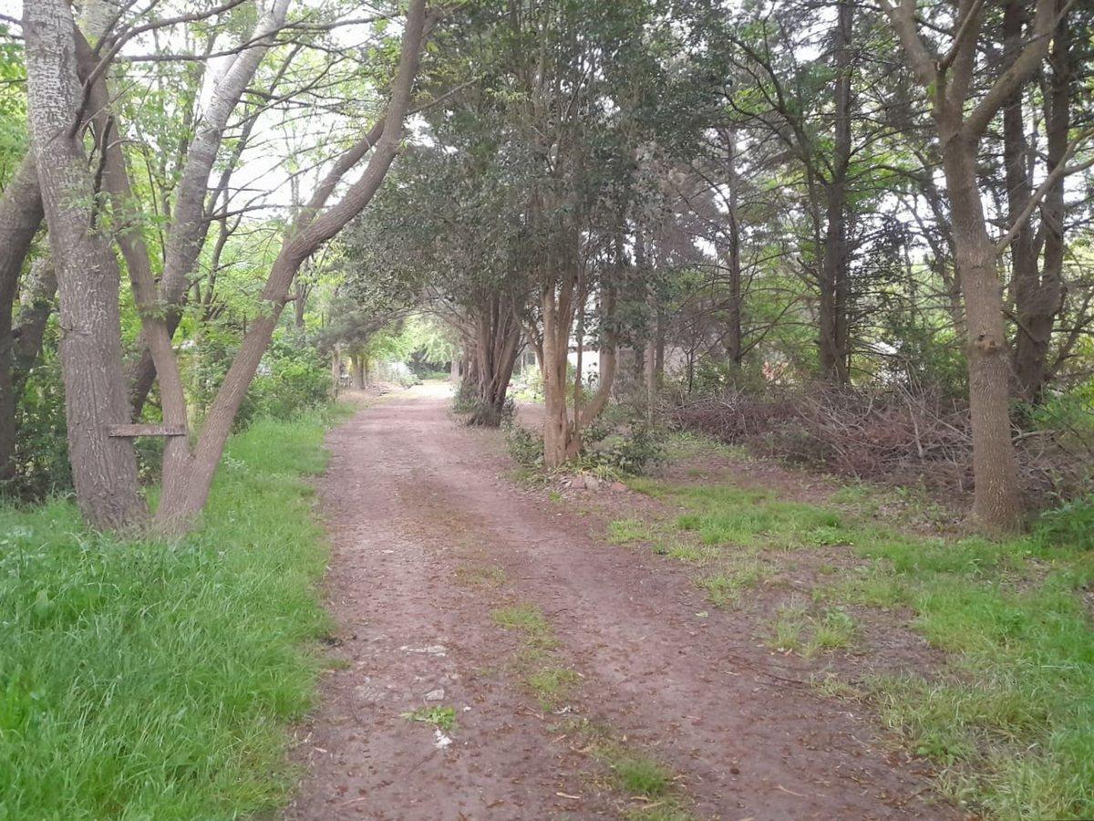 Foto de LOTE EN VENTA EN SICARDI, imagen 3