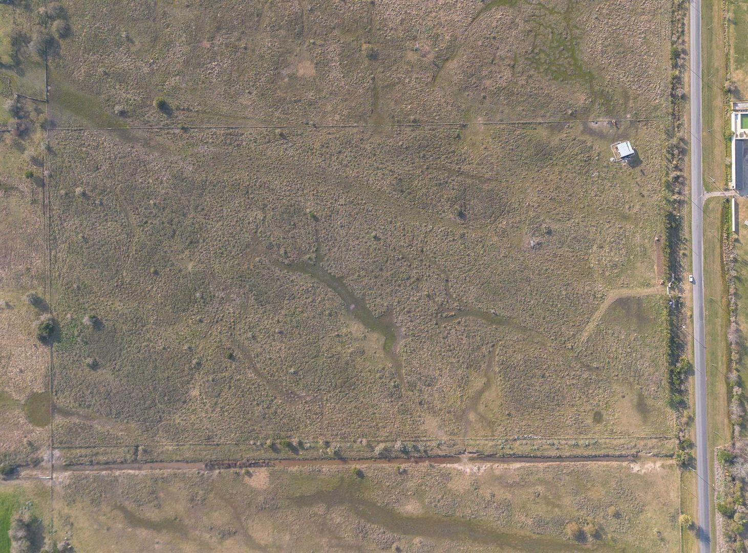 Foto de HECTAREAS EN VENTA EN ATALAYA, imagen 5