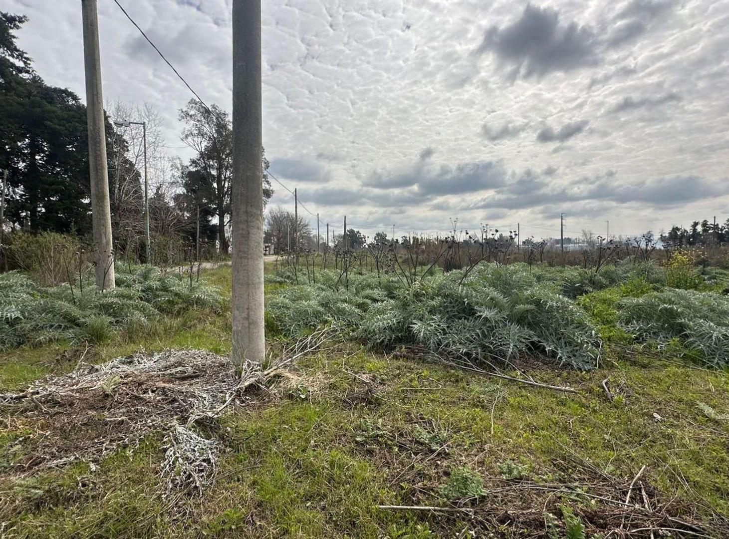 Foto de Lote Venta San Carlos Ideal Desarrollador, imagen 1