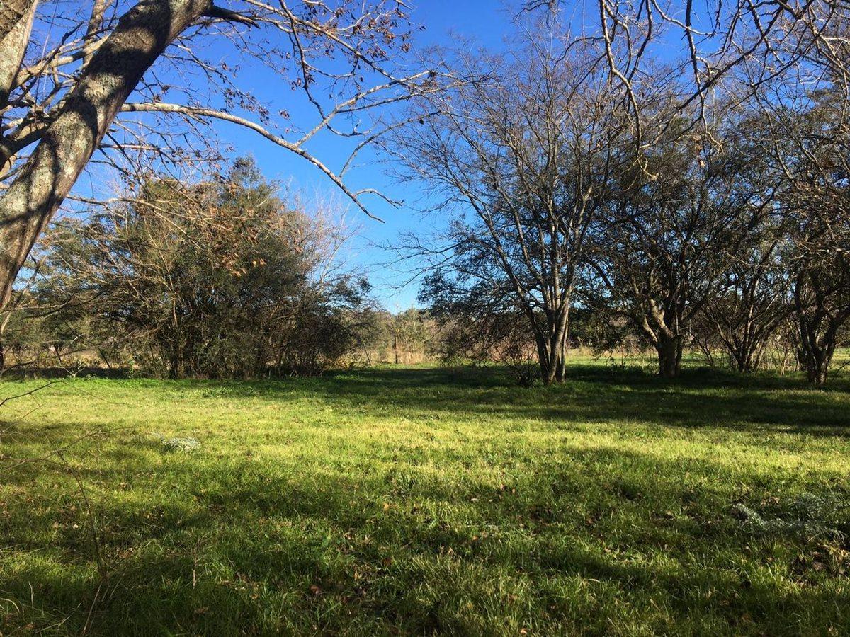Foto de LOTE TERRENO EN VENTA EN VILLA ELISA ENTRE CAMINOS, imagen 1
