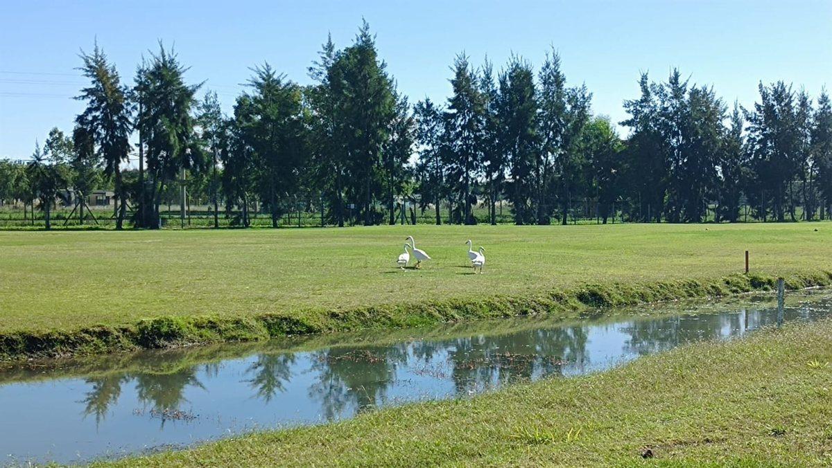 Foto de LOTE VENTA HARAS DEL SUR III VISTA AL GOLF 1000m, imagen 2