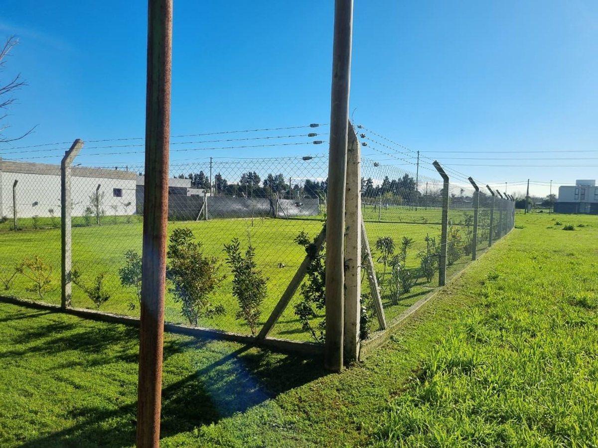 Foto de LOTE EN VENTA EN BARRIO DON GUIDO ESCRITURADO, imagen 4