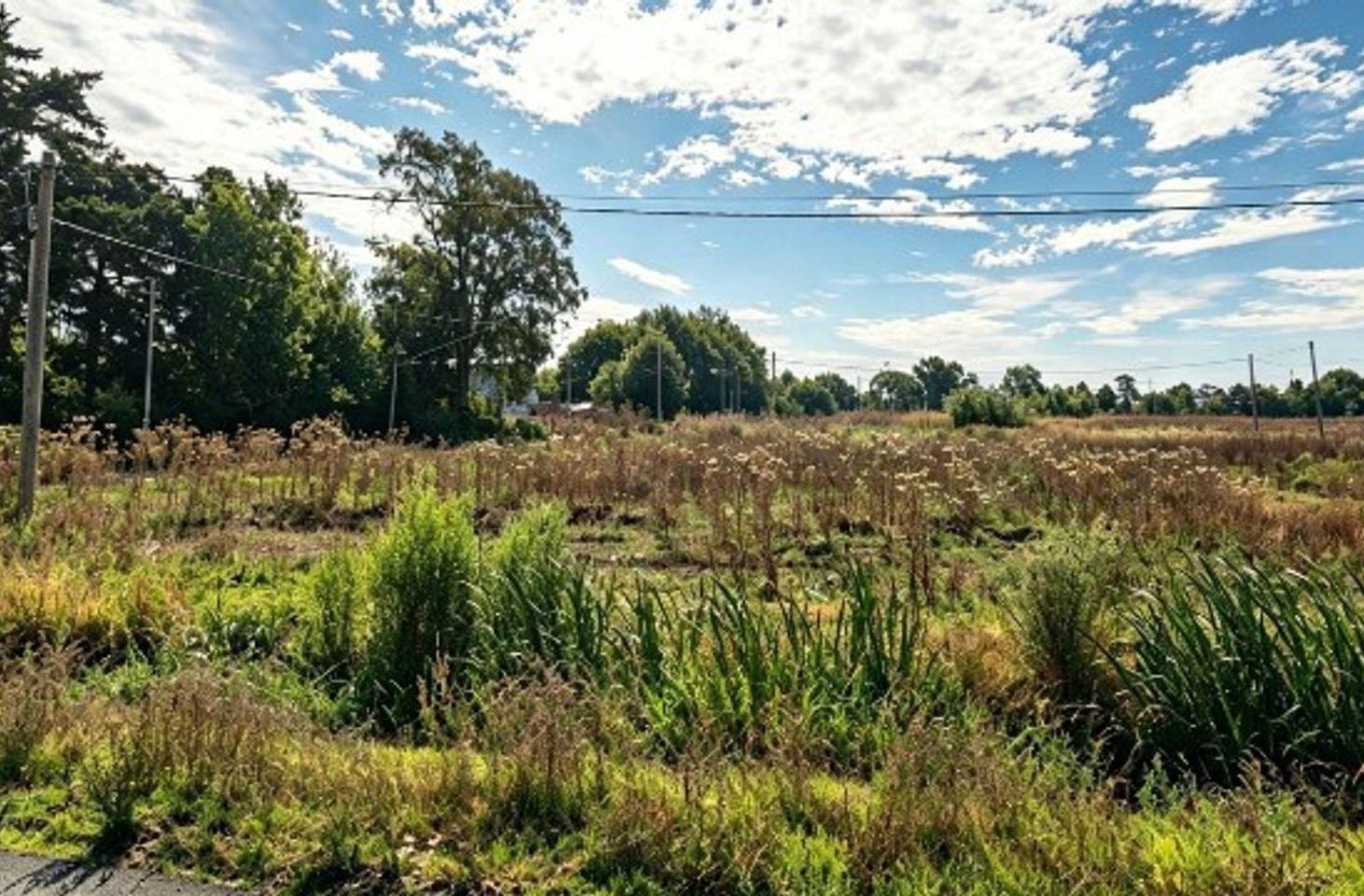 Foto de LOTE EN VENTA EN SAN CARLOS - LA PLATA, imagen 5