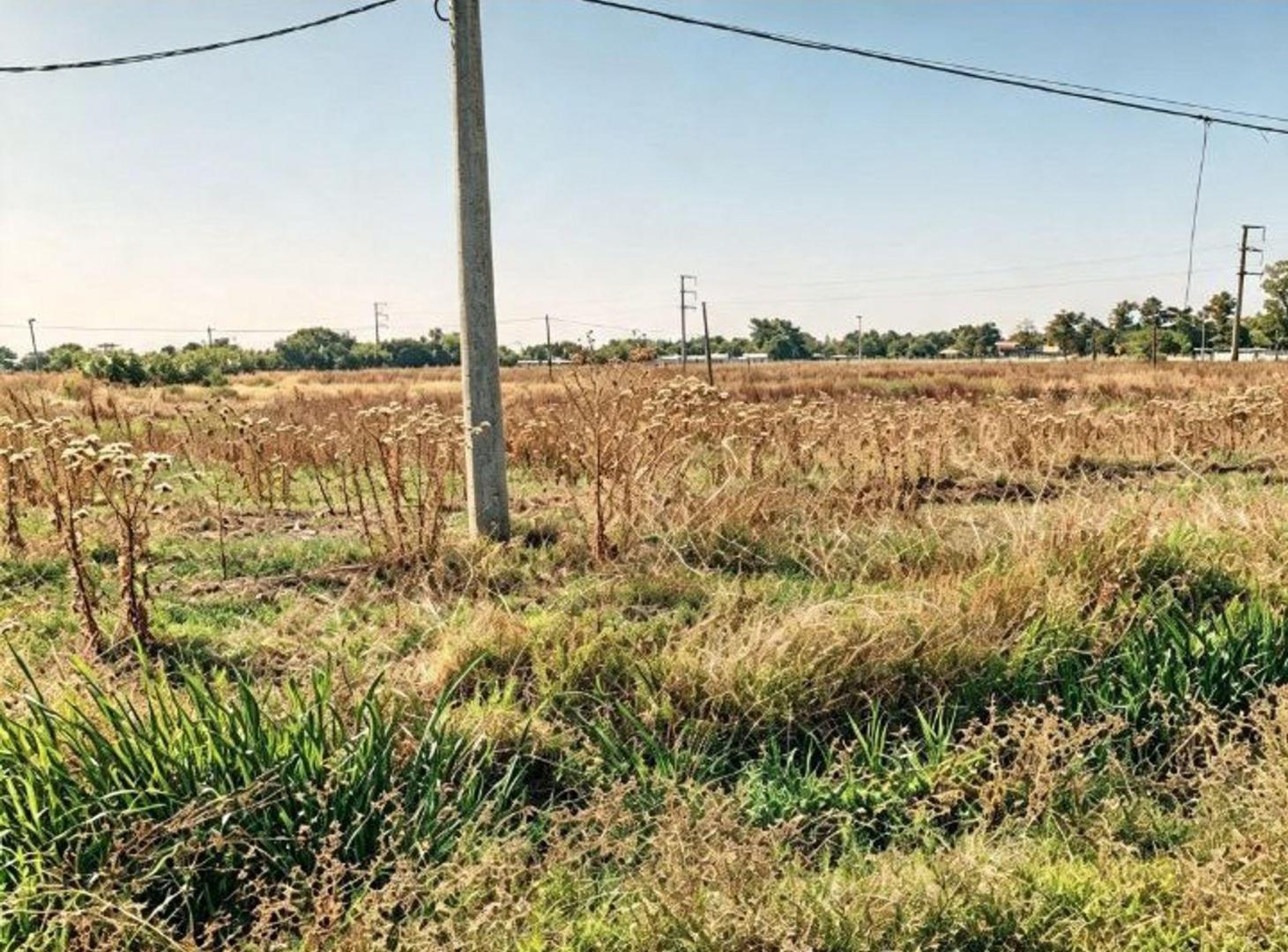 Foto de LOTE EN VENTA EN SAN CARLOS - LA PLATA, imagen 4