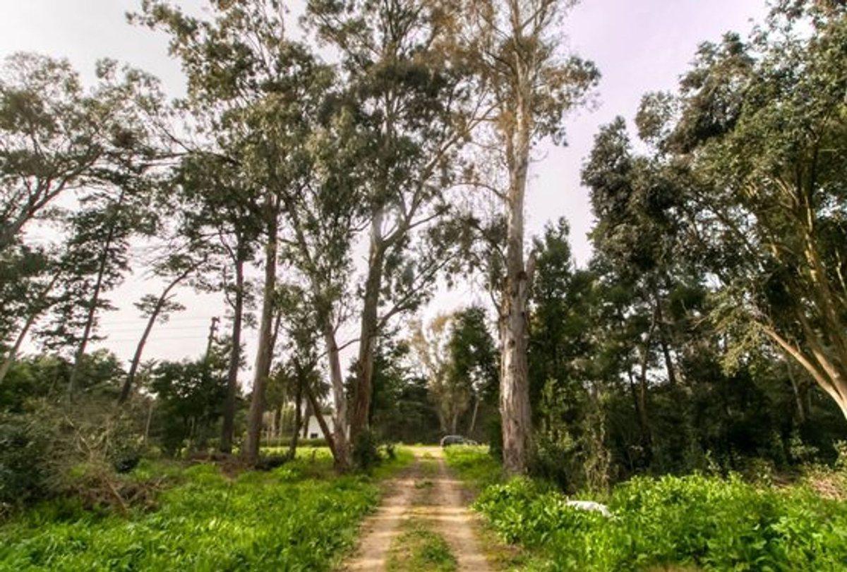 Foto de Lote en venta, La Plata. Sicardi, imagen 5