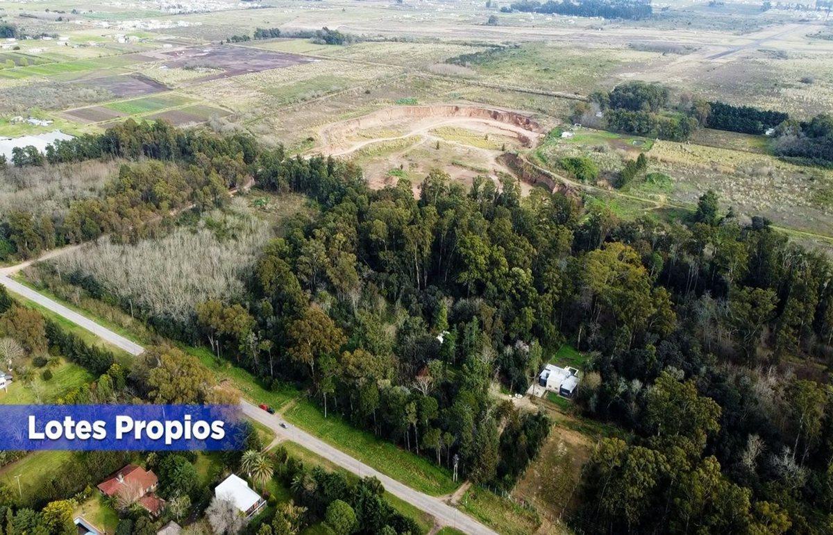 Foto de Lote en venta, La Plata. Sicardi, imagen 3