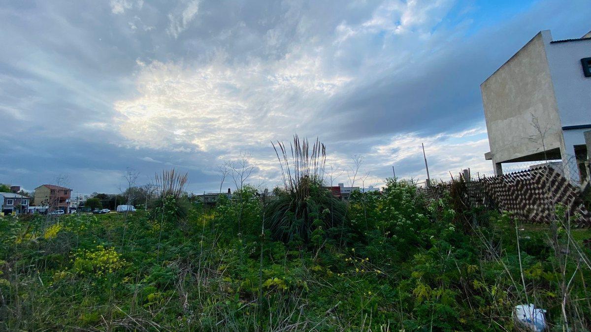 Foto de LOTE EN VENTA GONNET BARRIO DON JULIAN, imagen 3