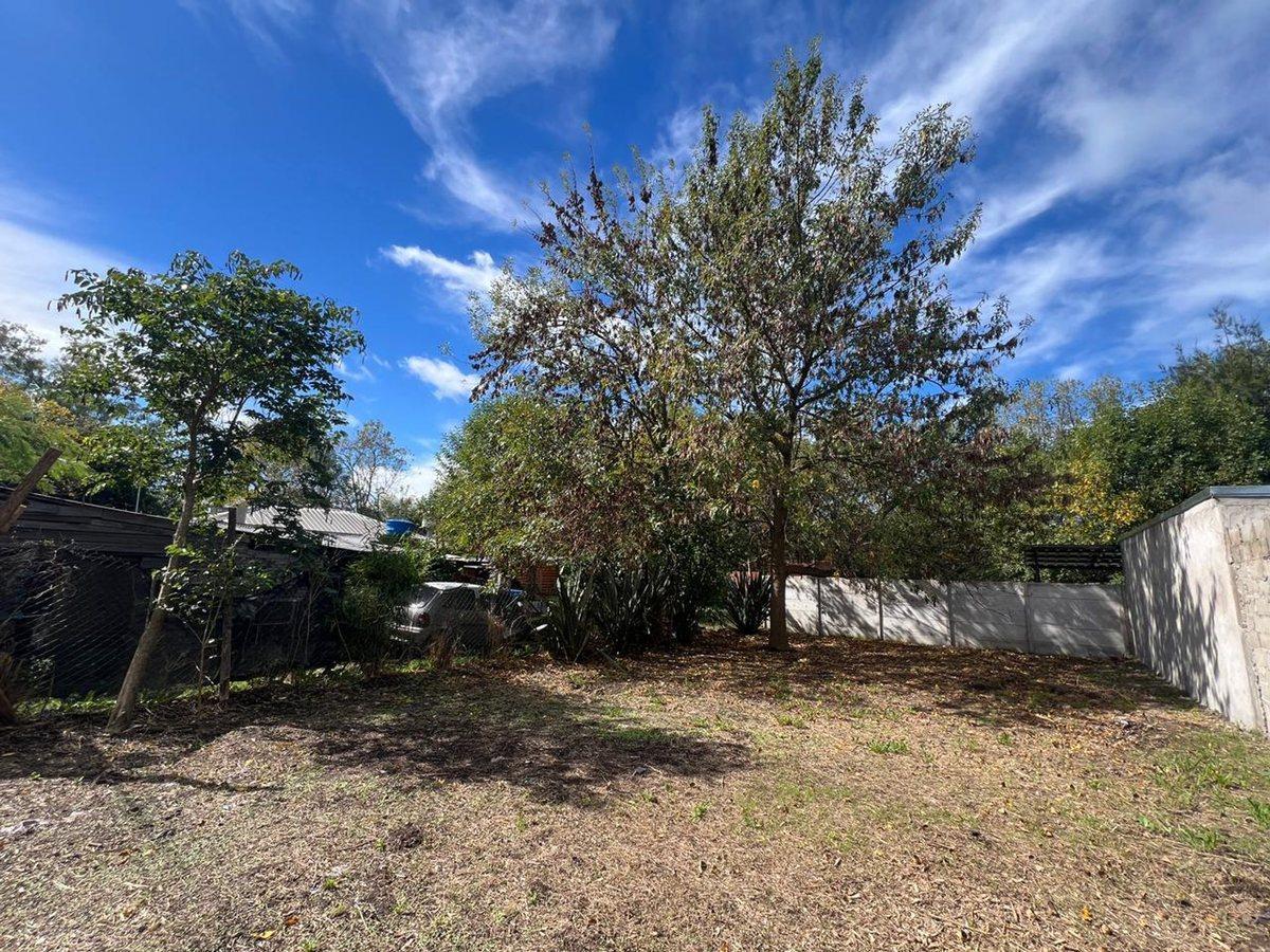 Foto de TERRENO EN VENTA VILLA ELISA, imagen 3