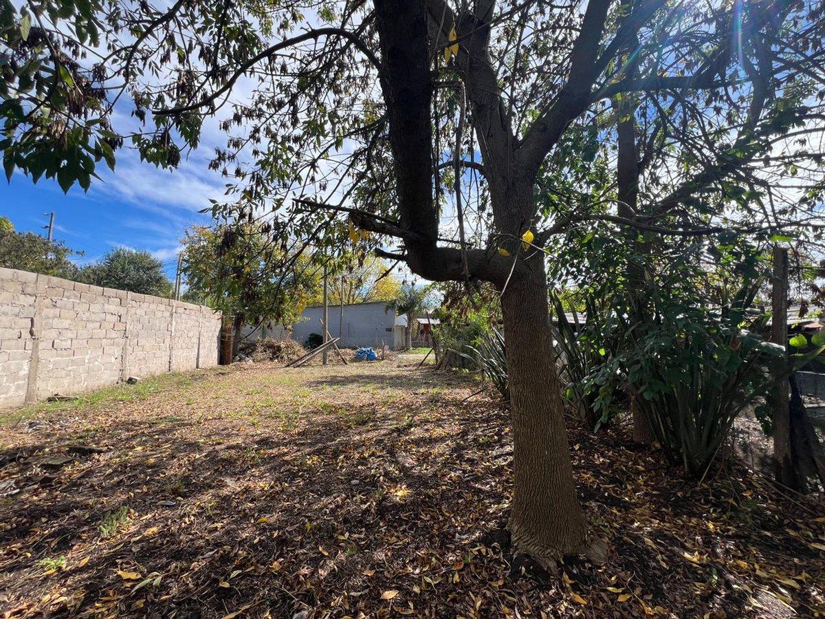 Foto de TERRENO EN VENTA VILLA ELISA, imagen 4