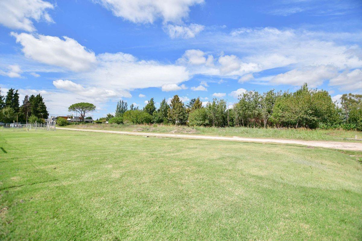 Foto de TERRENO EN VENTA GORINA - EL ÁLAMO, imagen 1