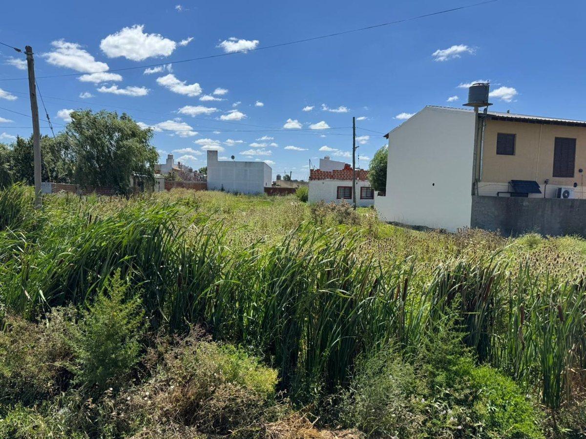 Foto de LOTE EN VENTA BERISSO 217 M2, imagen 2