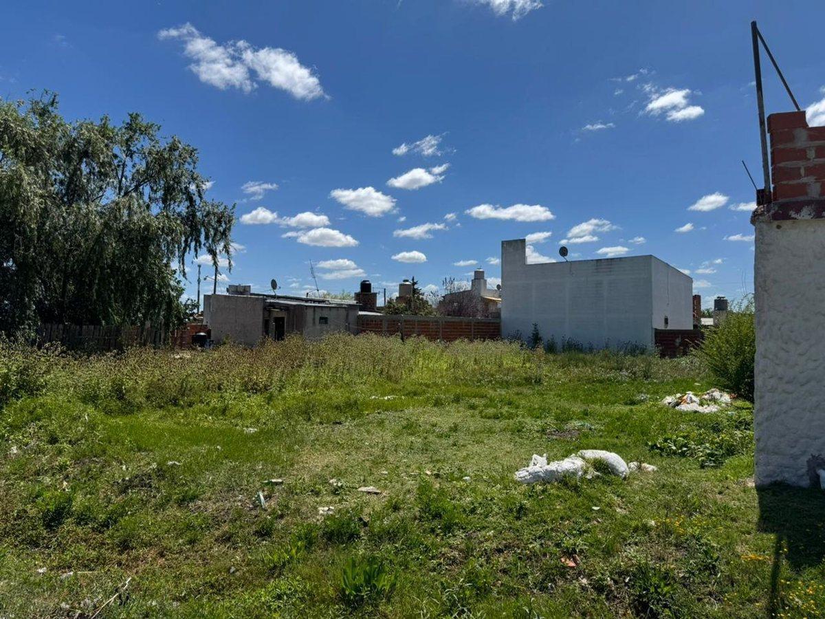 Foto de LOTE EN VENTA BERISSO 294 M2, imagen 3
