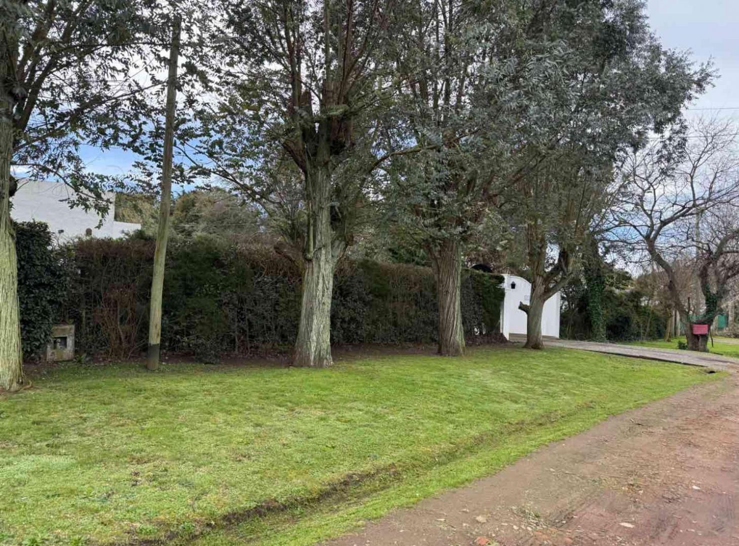 Foto de LOTES EN VENTA EN VILLA ELISA, imagen 2