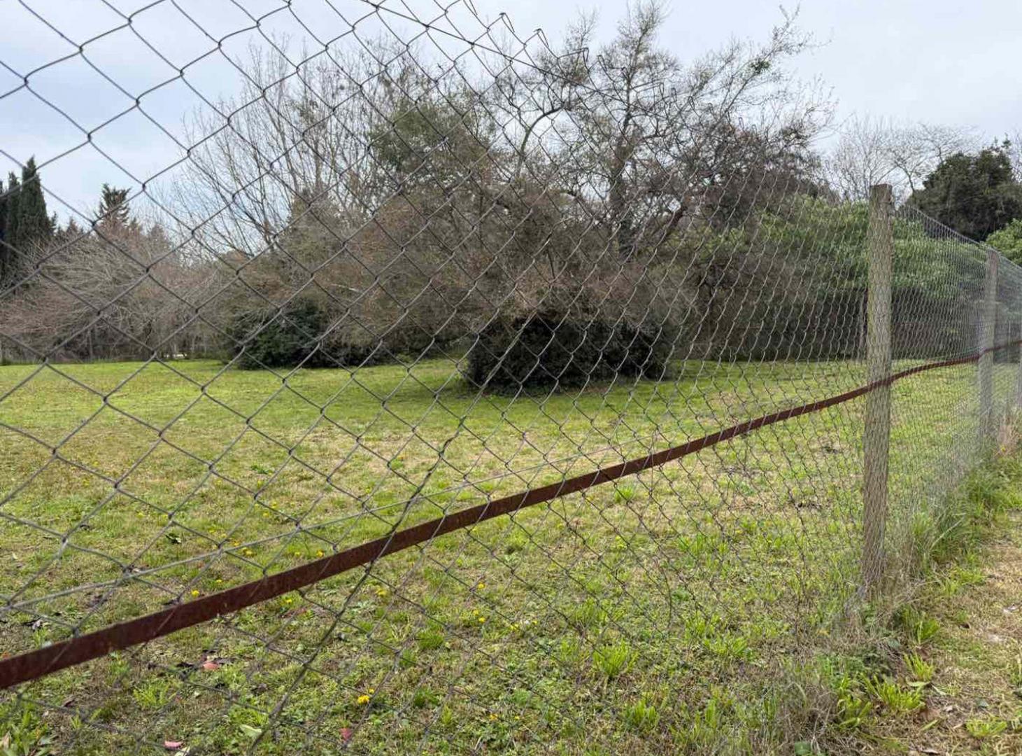 Foto de LOTES EN VENTA EN VILLA ELISA, imagen 5