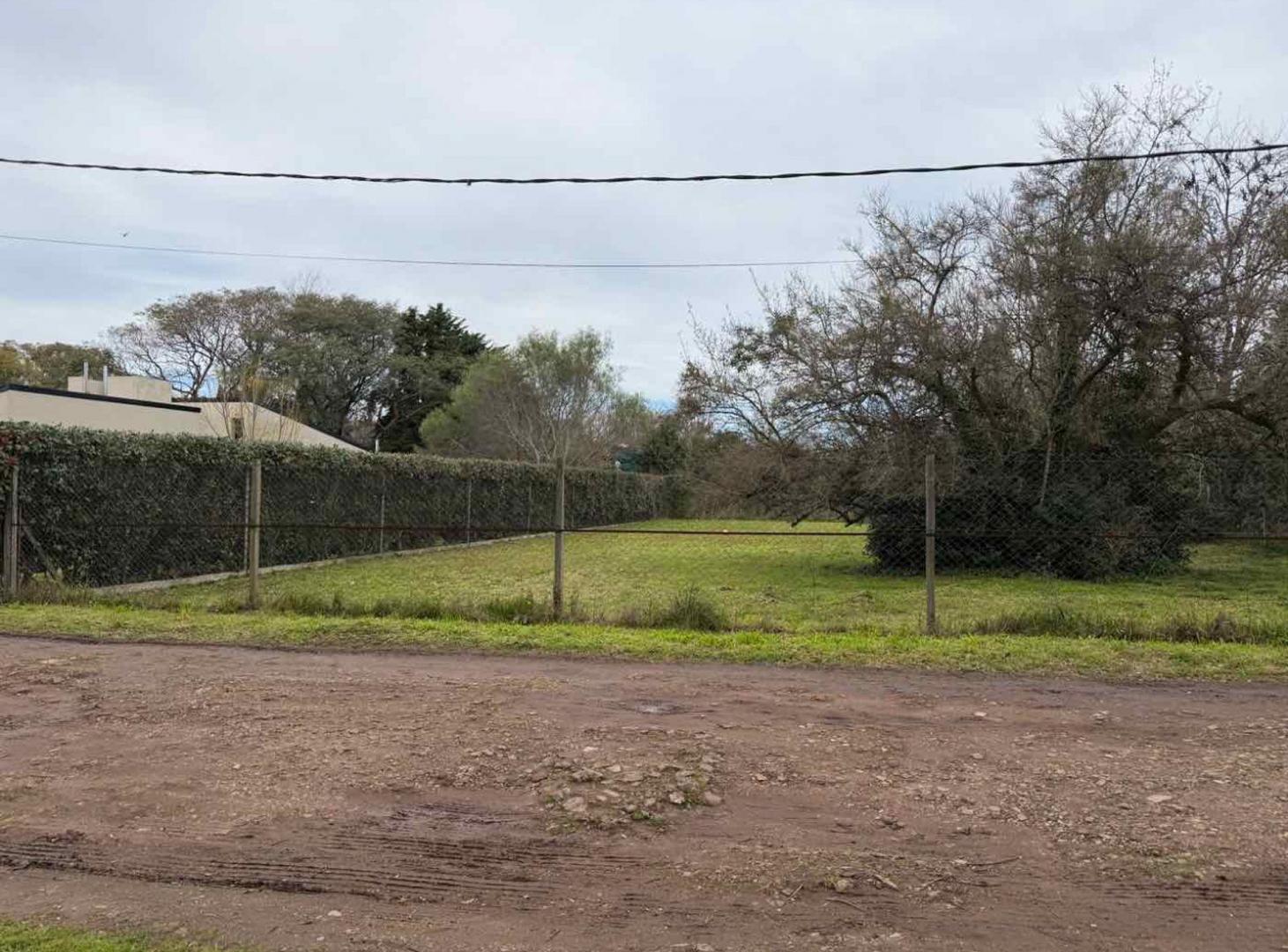 Foto de LOTES EN VENTA EN VILLA ELISA, imagen 4