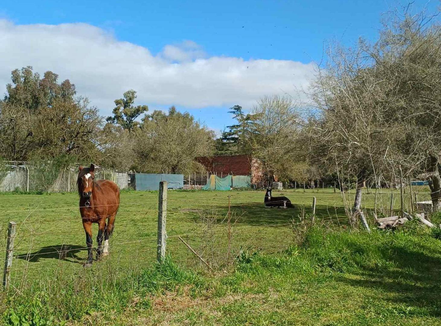 Foto de LOTE EN VENTA ESTANCIA CHICA, imagen 2