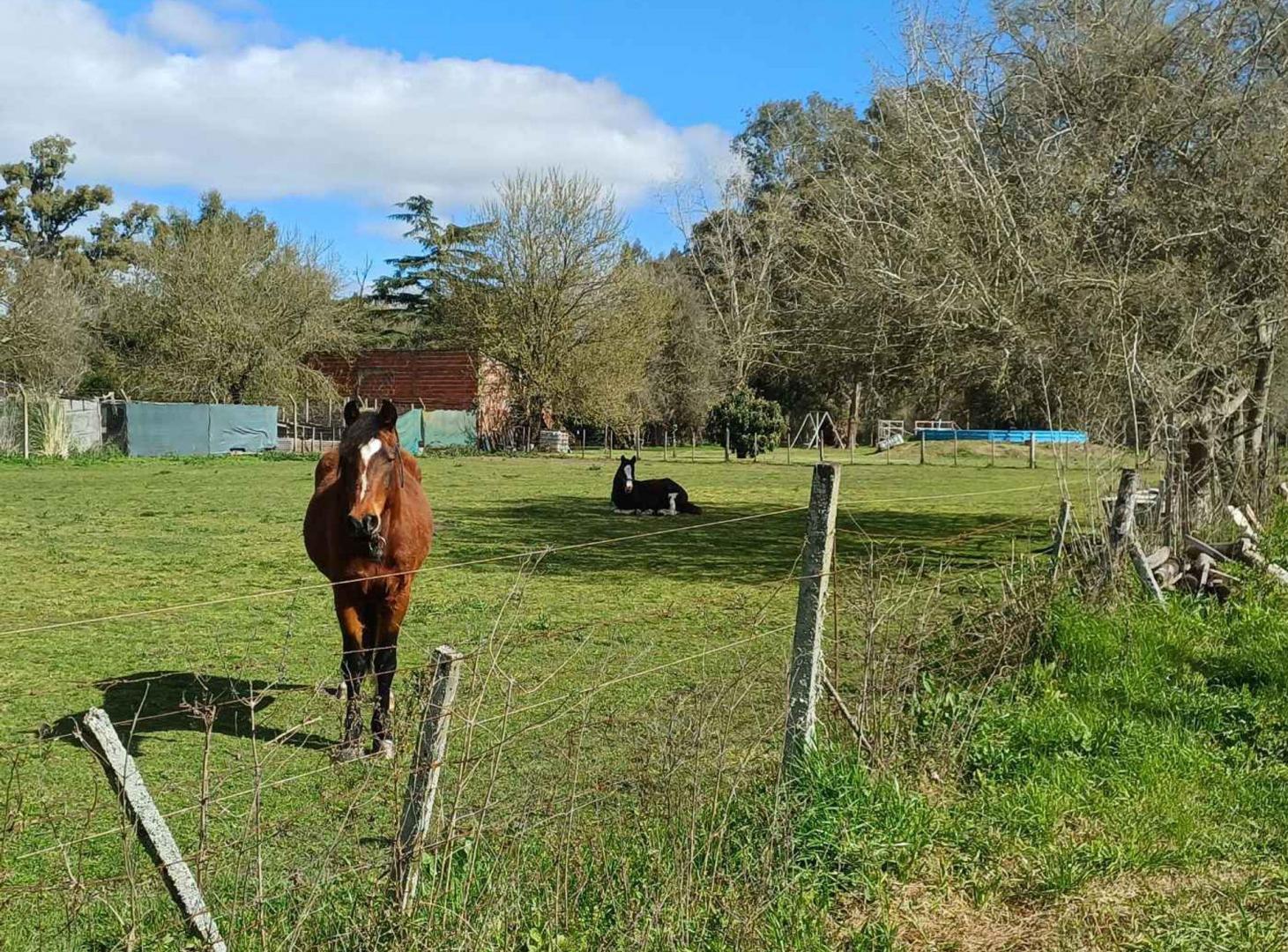 Foto de LOTE EN VENTA ESTANCIA CHICA, imagen 4