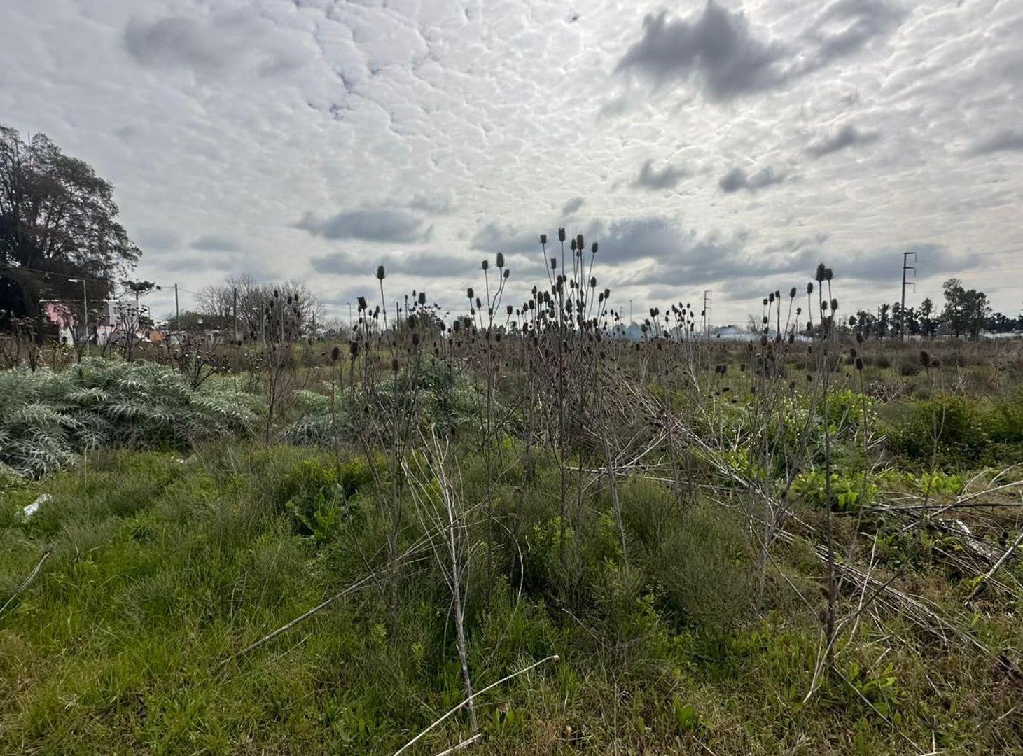 Foto de Lote Venta San Carlos Ideal Desarrollador, imagen 3