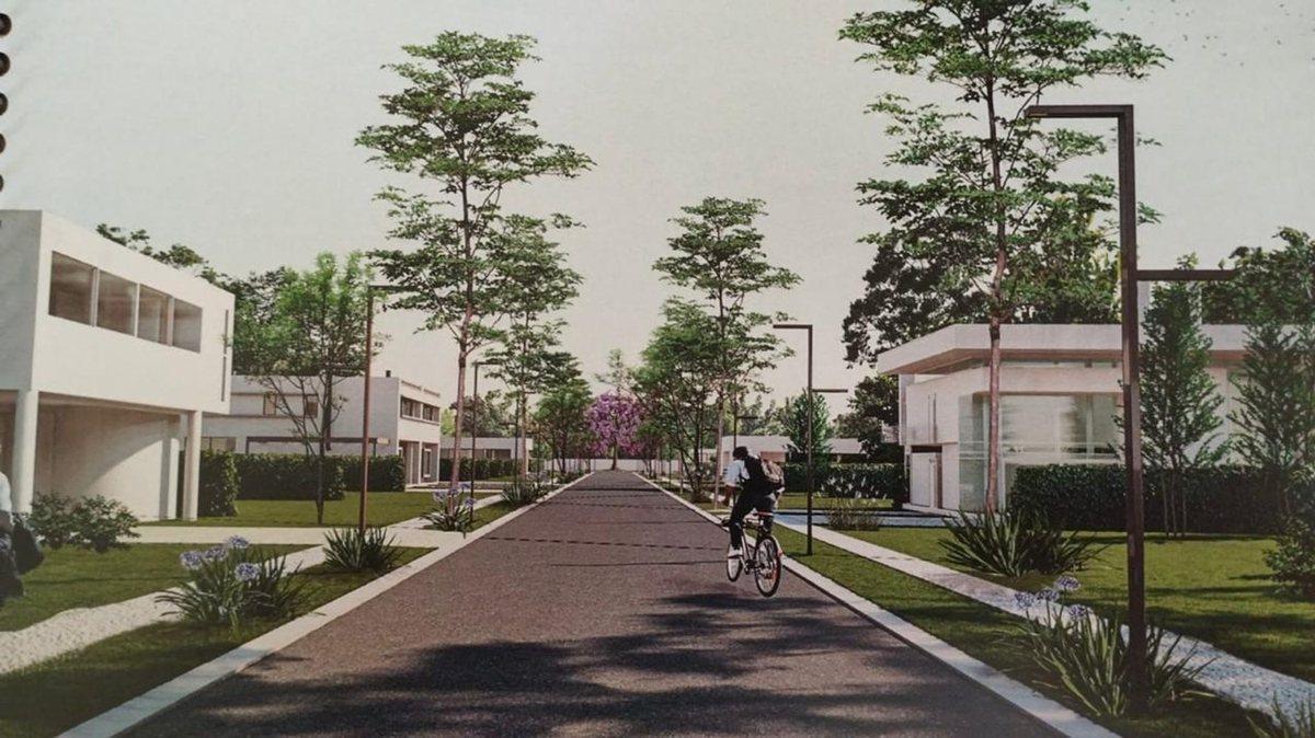 Foto de Lote en venta en Gorina, imagen 3