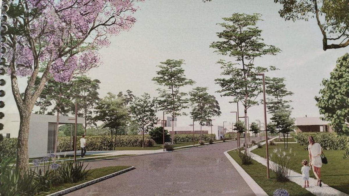 Foto de Lote en venta en Gorina, imagen 1