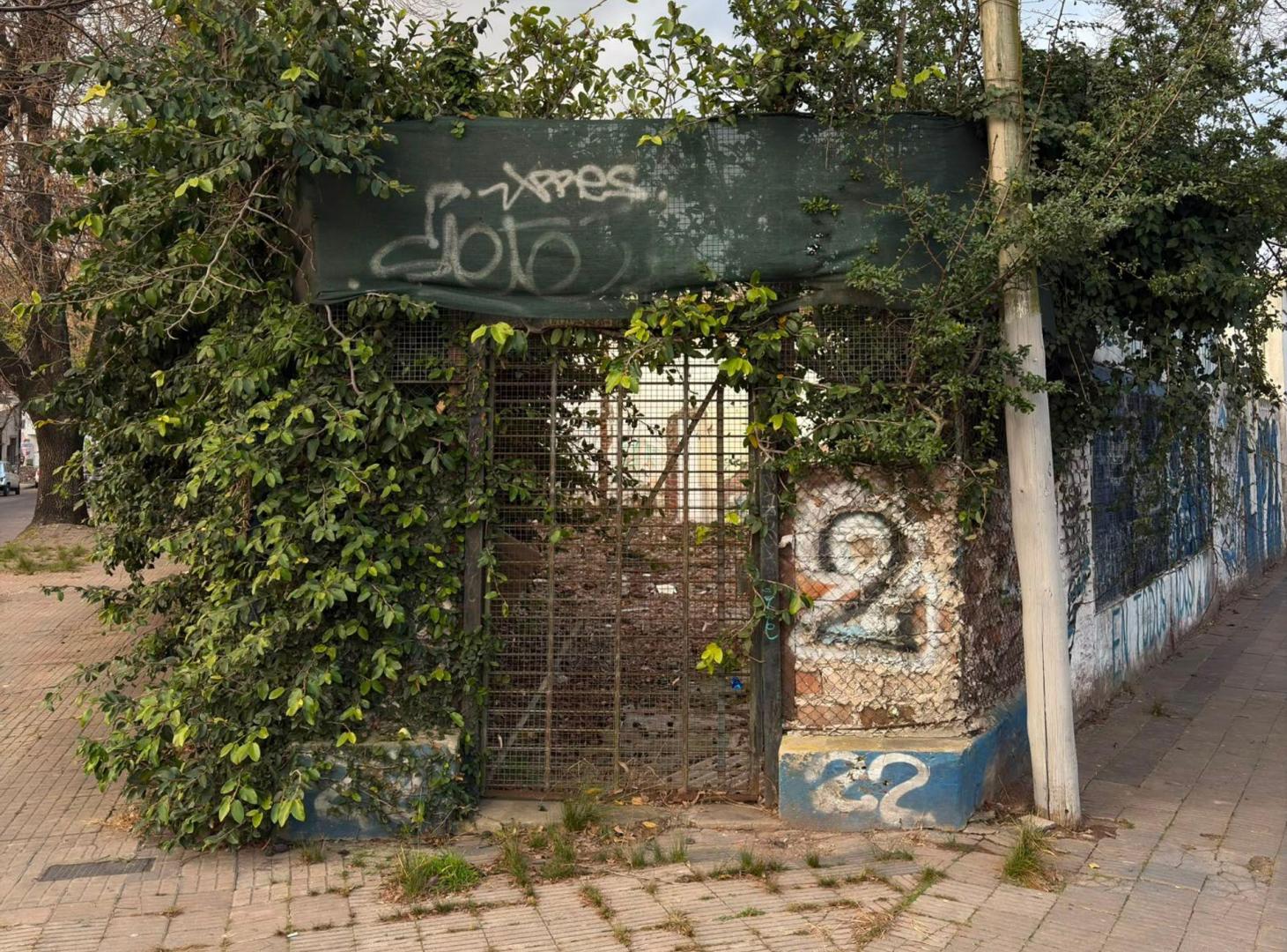 Foto de LOTE EN VENTA LA PLATA IDEAL DESARROLLO, imagen 4