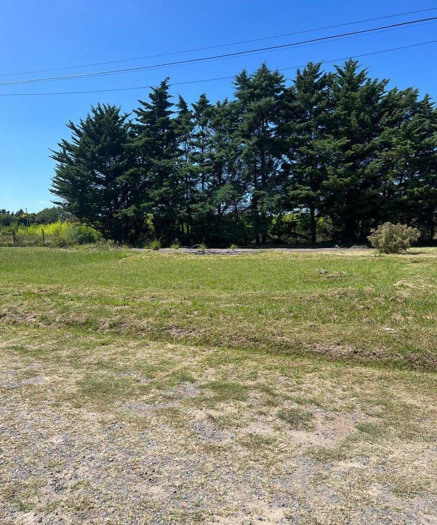 Foto de Lote en Venta Villa Elisa barrio cerrado, imagen 4