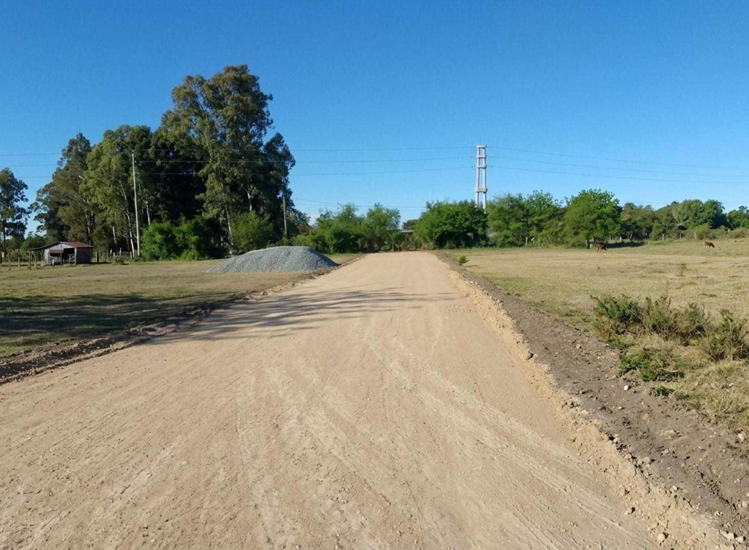 Foto de HECTAREAS EN VENTA EN ARTURO SEGUI, imagen 2