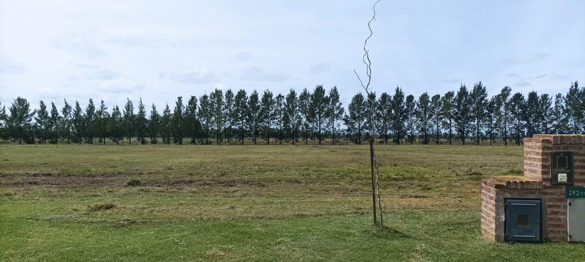 Foto de LOTE VENTA HARAS DEL SUR III BRANDSEN, imagen 4