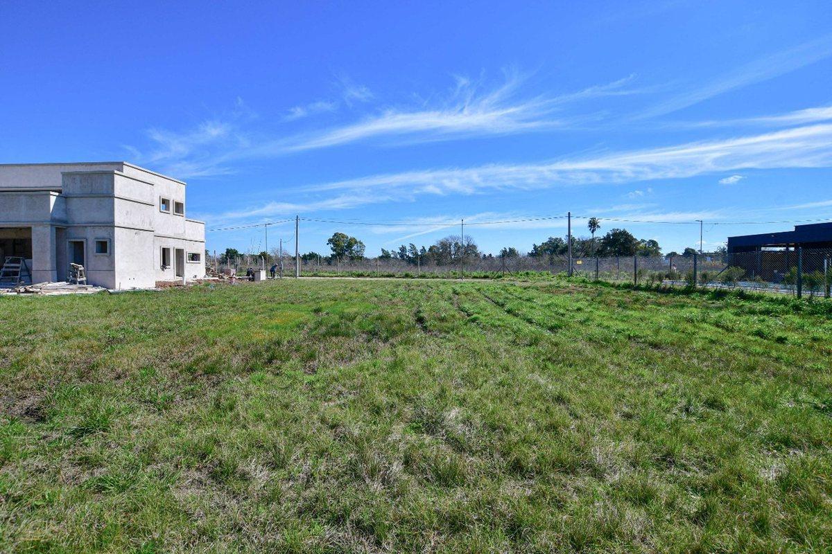 Foto de LOTE EN VENTA EN LAS CAROLINAS BARRIO CERRADO, imagen 4