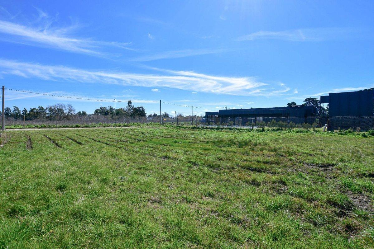 Foto de LOTE EN VENTA EN LAS CAROLINAS BARRIO CERRADO, imagen 3