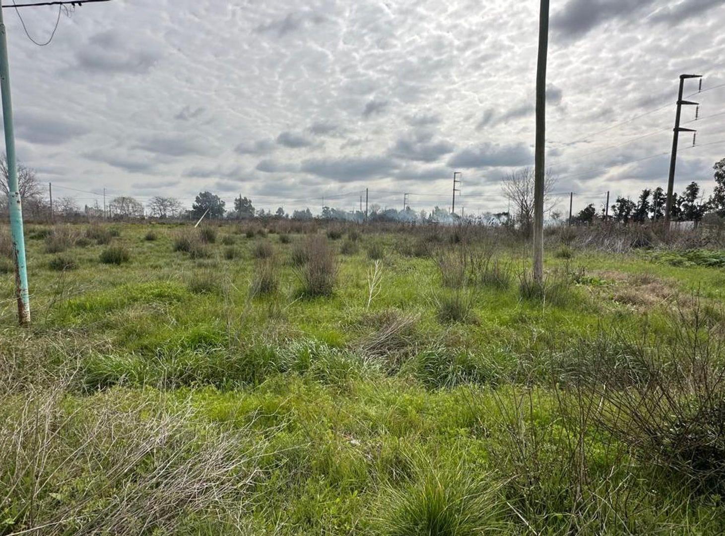 Foto de Lote en Venta San Carlos Ideal Constructora, imagen 2